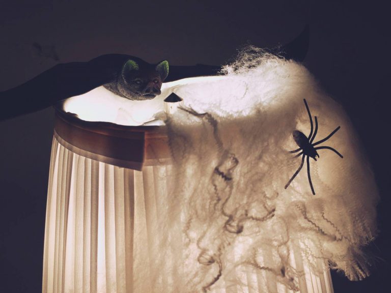 Halloween 2016